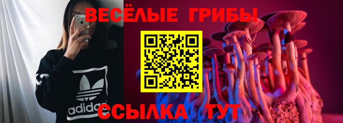 Майкоп  Галлюциногенные грибы Psilocybine cubensis  Вход с VPN 